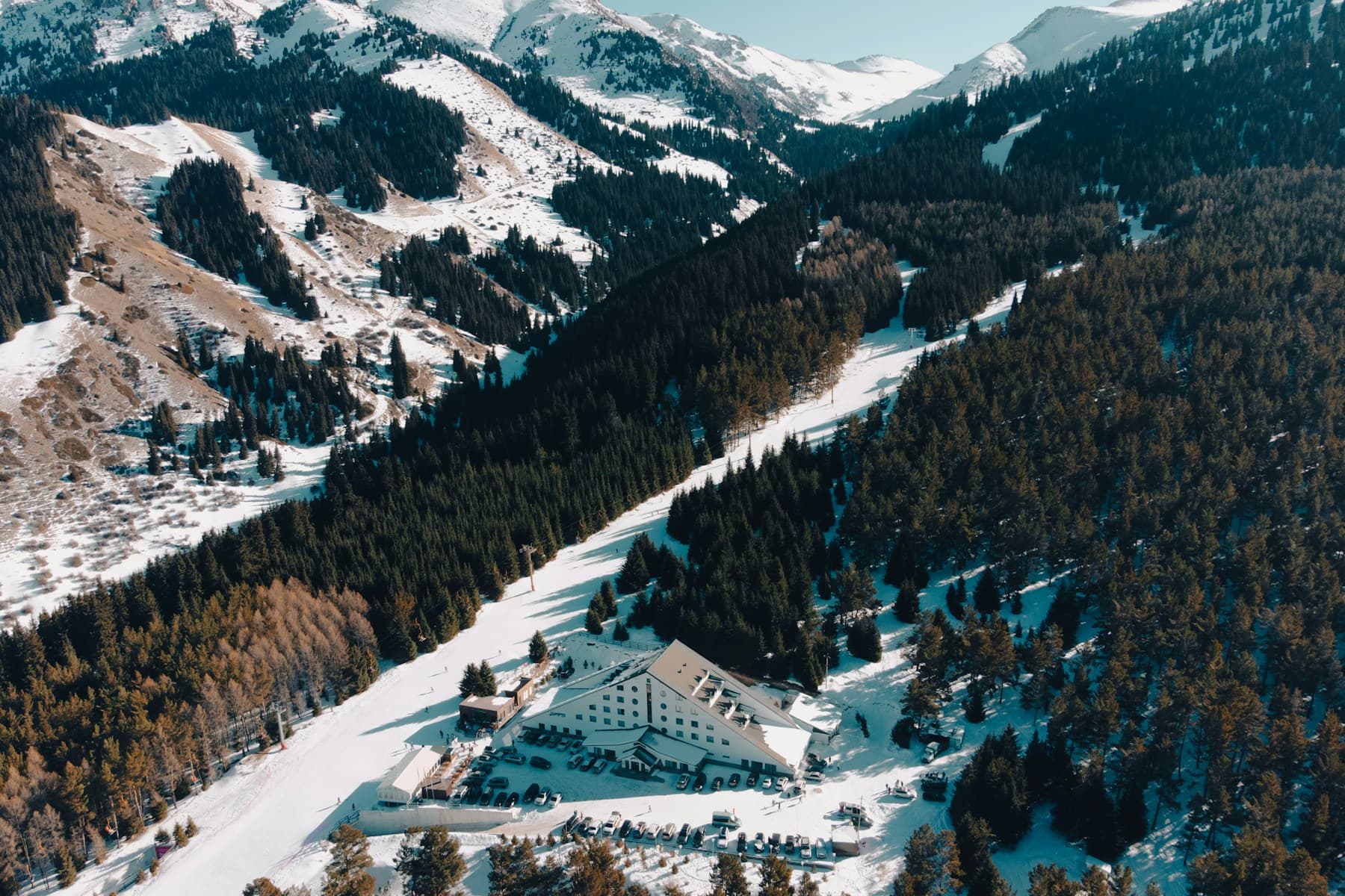 Snow, pine forest, and a mountain lodge at the foot of a winter slope