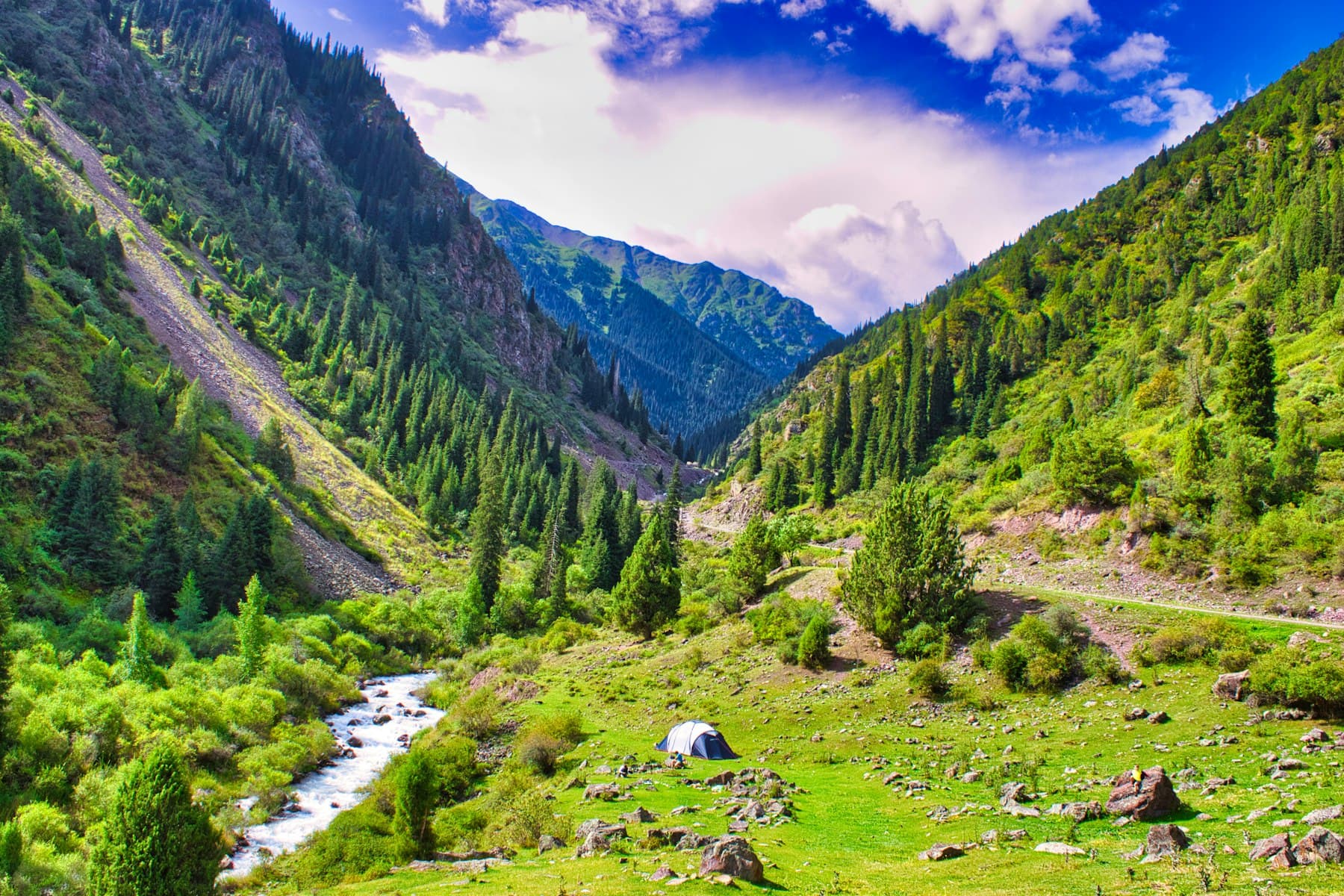 A green Chüy valley with a stream, forested slopes, and a small tent under a wide sky