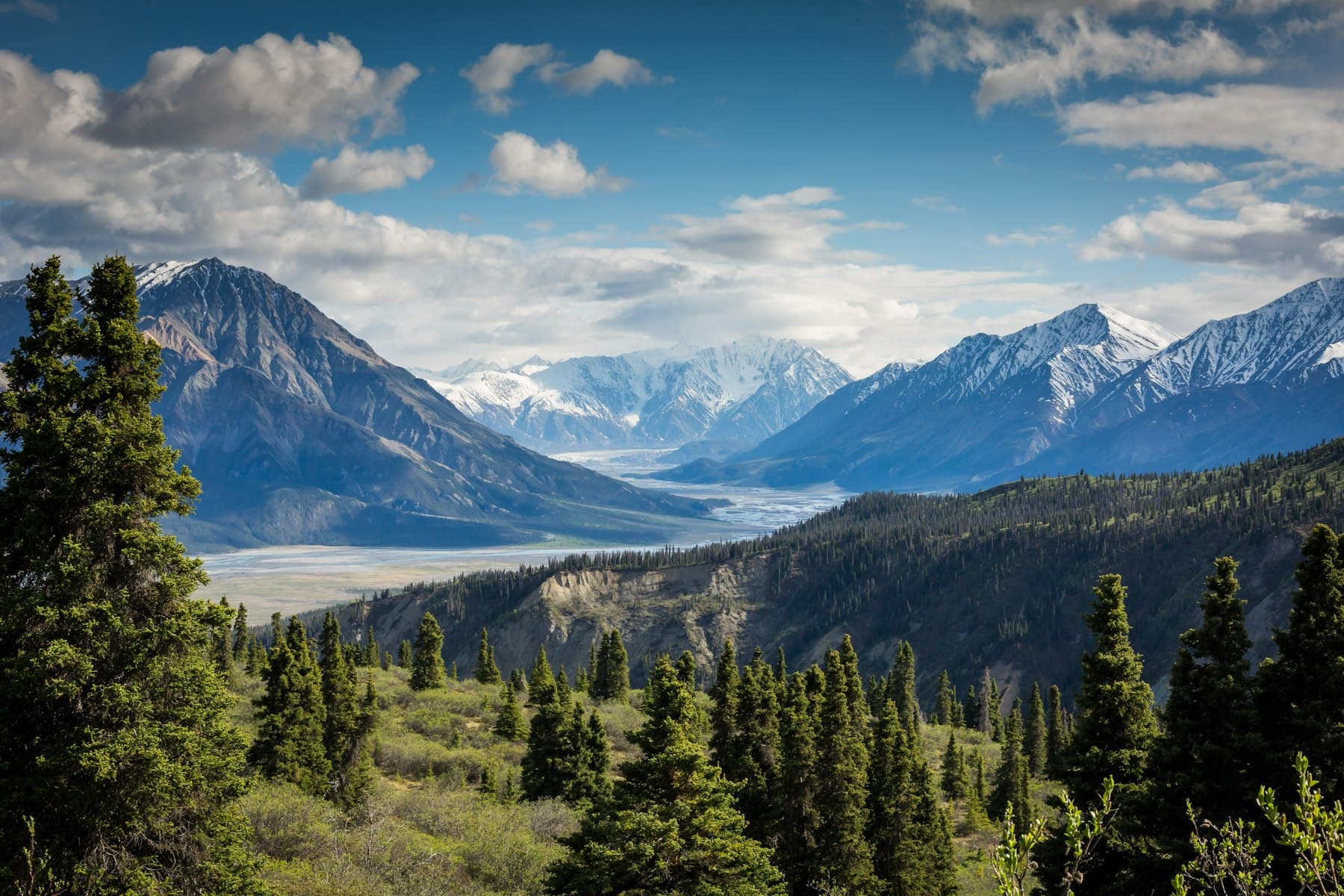 Forested ridges opening to a braided river and snow-capped peaks, typical of the ranges around Karakol